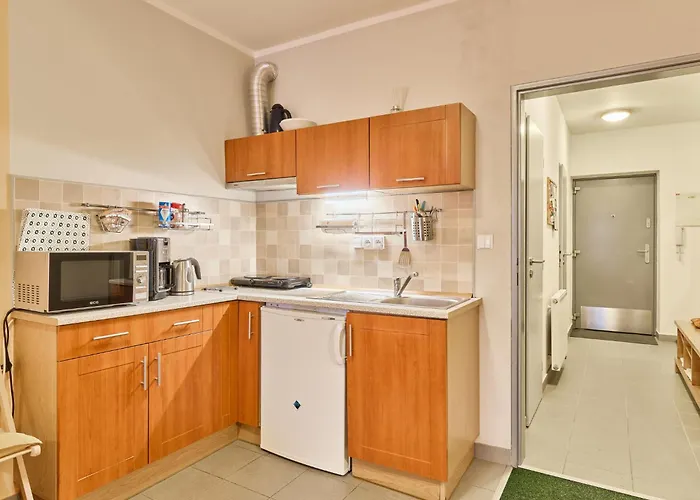 Certovka-3 By Interhome Apartment Harrachov