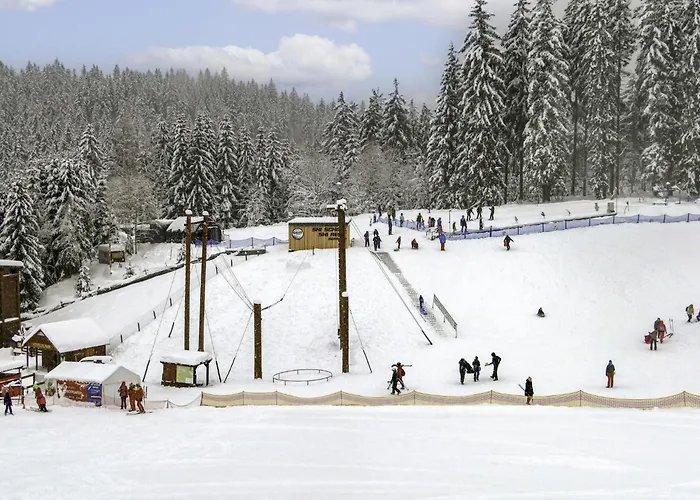 Certovka-3 By Interhome * Harrachov